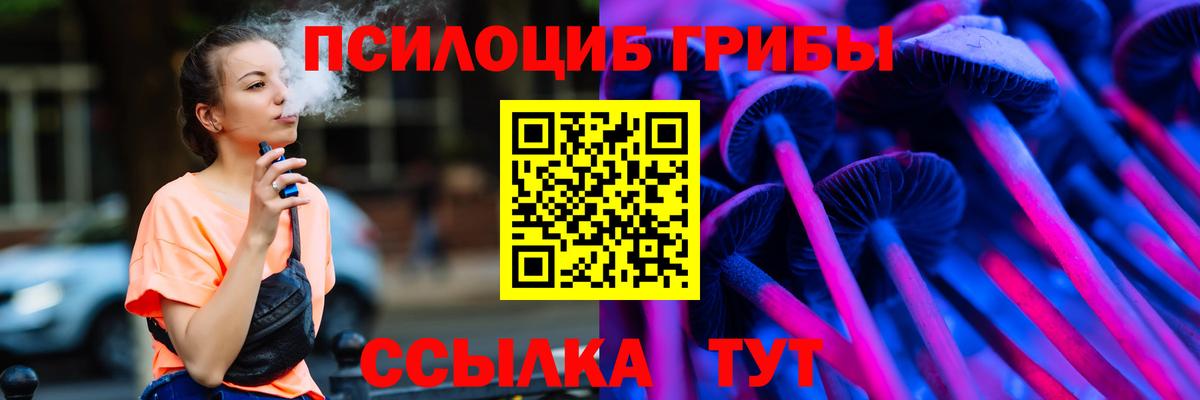 Псилоцибиновые грибы MAGIC MUSHROOMS  Вход с VPN  Зеленогорск  Галлюциногенные грибы Magic Shrooms 
